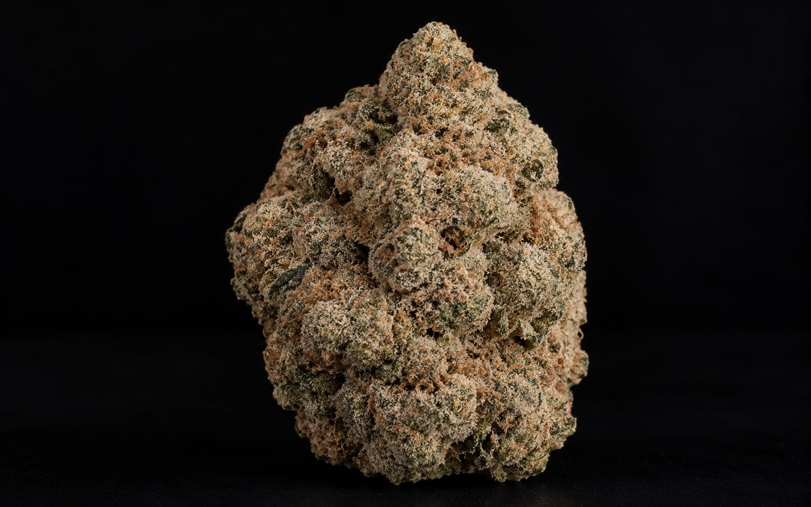 Flower grown with plant growth regulators